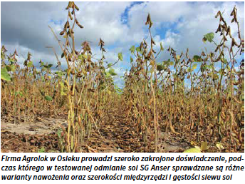 Firma Agrolok w Osieku prowadzi szeroko zakrojone doświadczenie, podczas którego w testowanej odmianie soi SG Anser sprawdzane są różne warianty nawożenia oraz szerokości międzyrzędzi i gęstości siewu soi