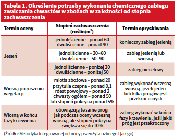 Chemiczny zabieg zwalczania chwastów w zbożach w zależności od stopnia zachwaszczenia